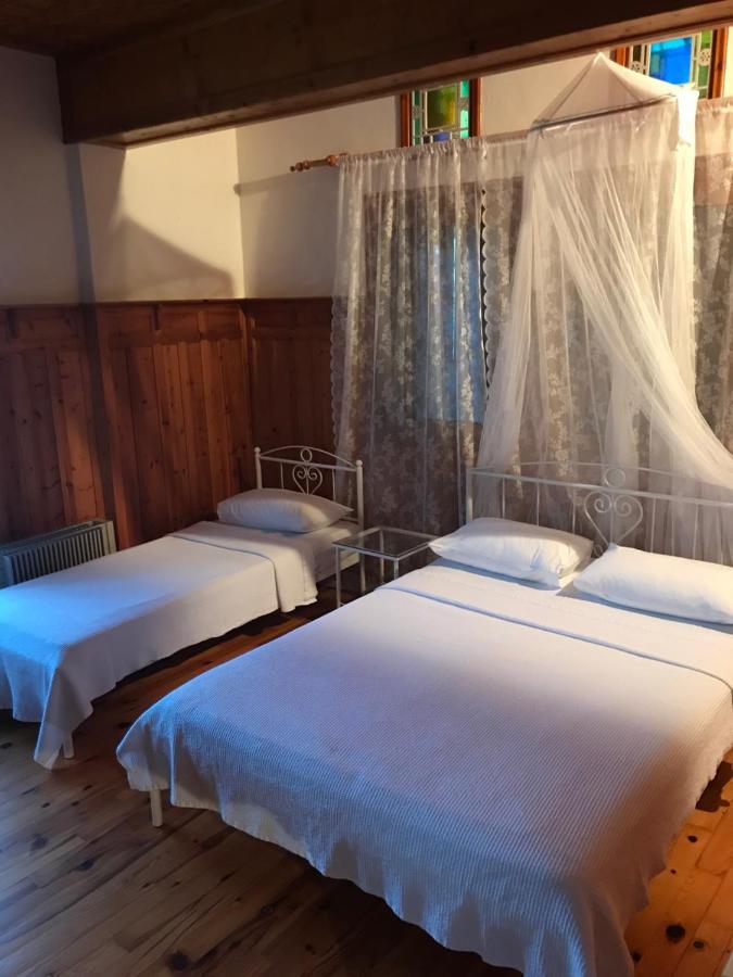 9Mouses Chasiotis Guest House Ampelakia Exterior foto