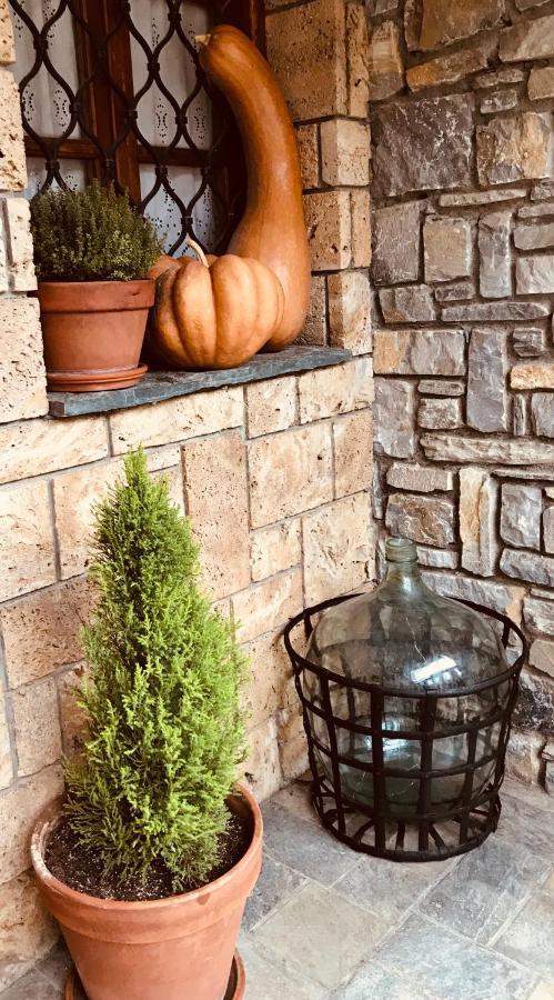9Mouses Chasiotis Guest House Ampelakia Exterior foto