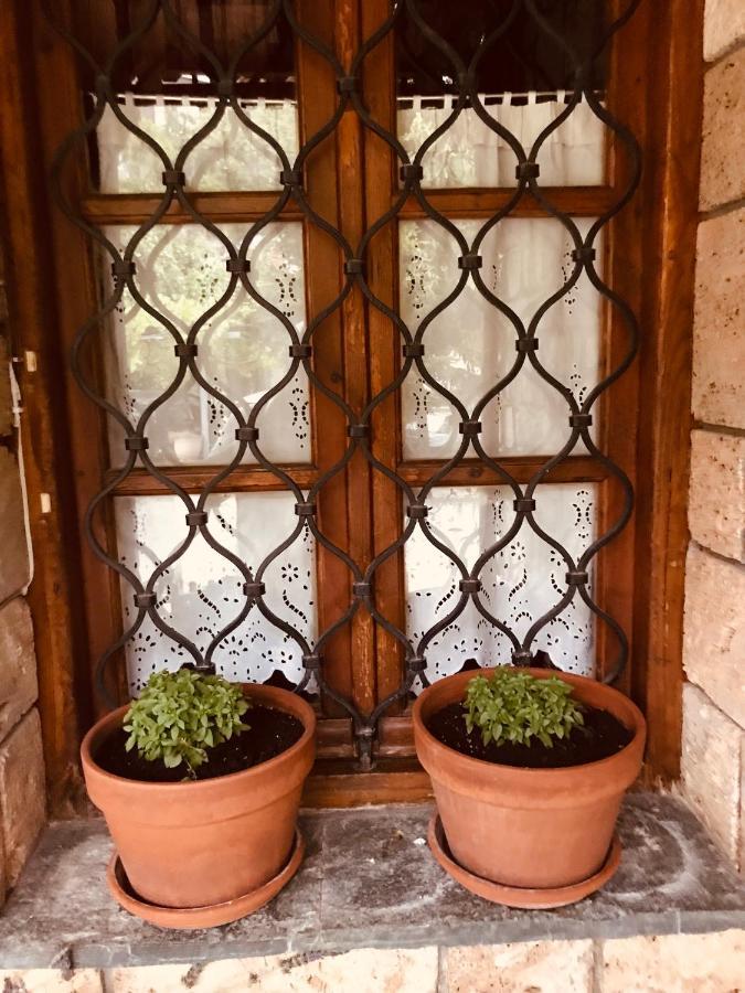 9Mouses Chasiotis Guest House Ampelakia Exterior foto