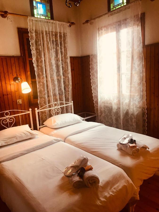 9Mouses Chasiotis Guest House Ampelakia Exterior foto